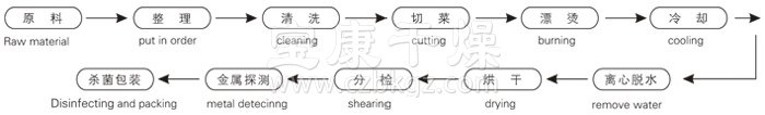 脱水蔬菜带式干燥工艺流程